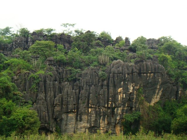 Pedra Calcário 
